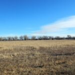 1311 Halligan Drive, Halligan Drive Development Lot - West